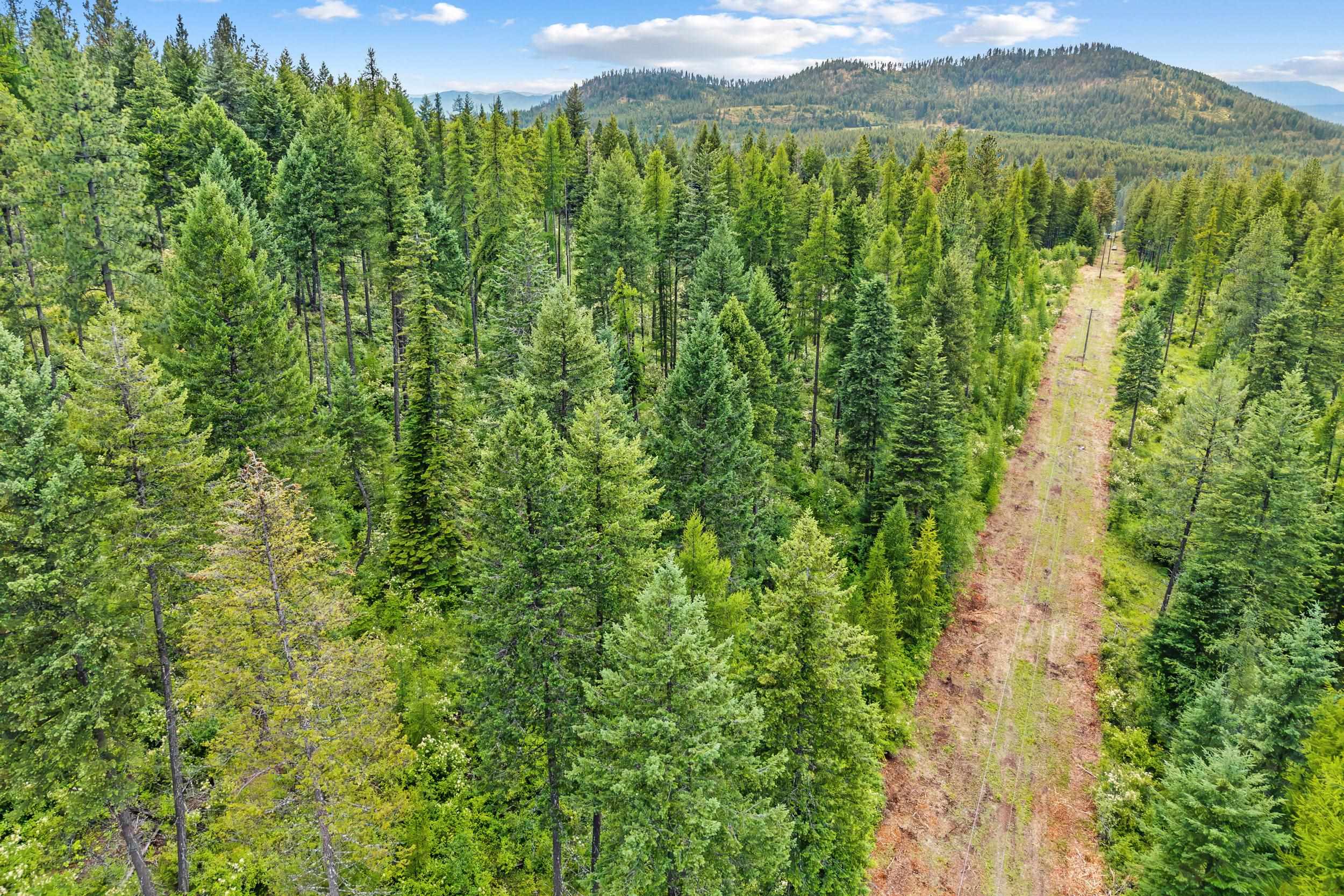432X Bussard Lake Rd - Photo 26