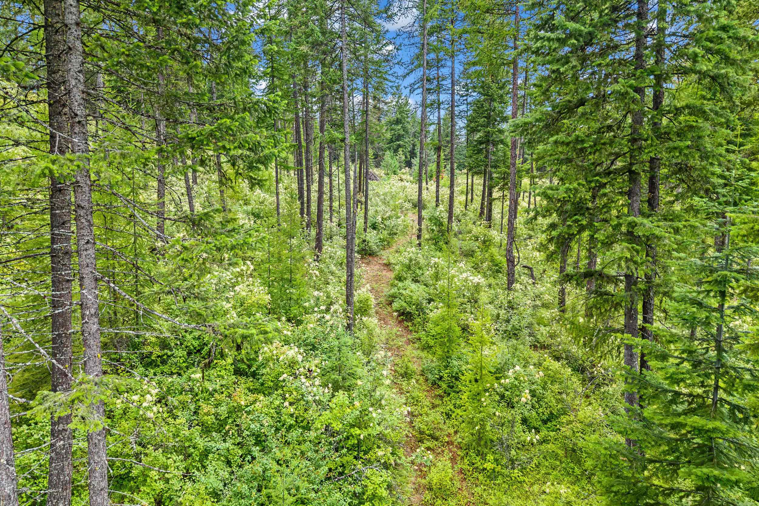 432X Bussard Lake Rd - Photo 27