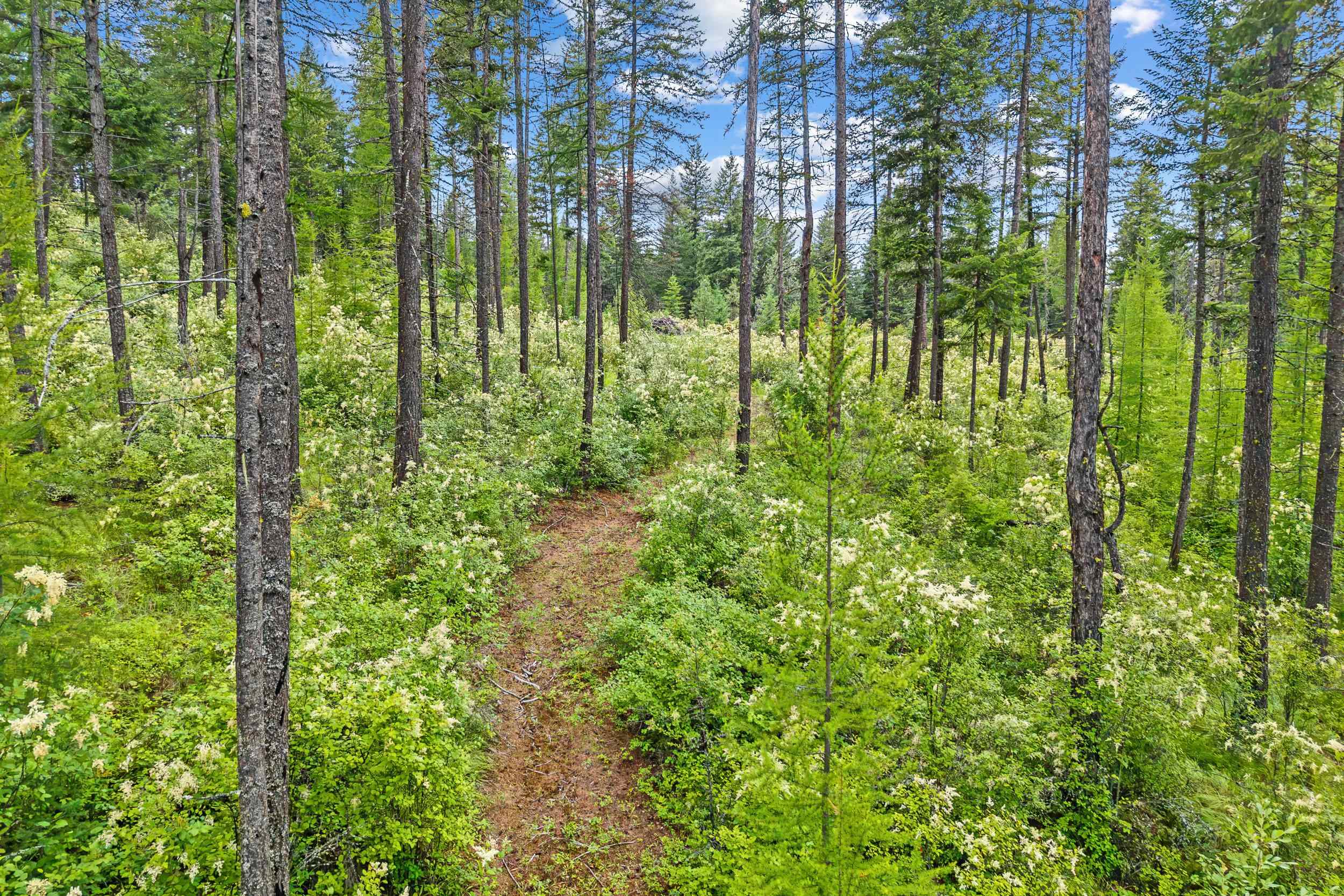 432X Bussard Lake Rd - Photo 28