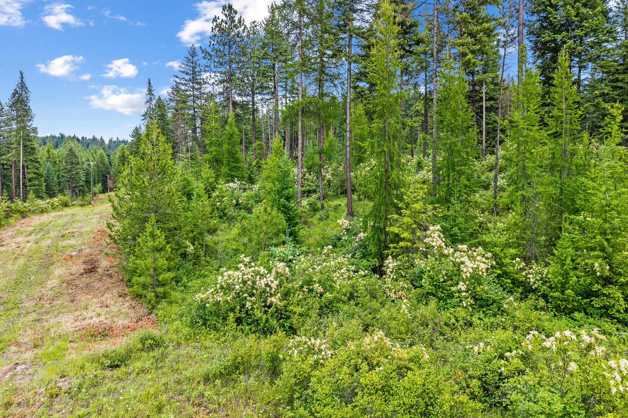 432X Bussard Lake Rd - Photo 30