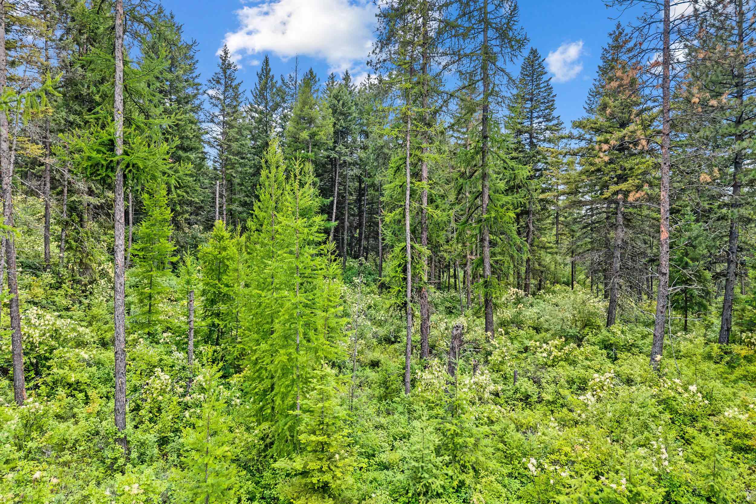 432X Bussard Lake Rd - Photo 31