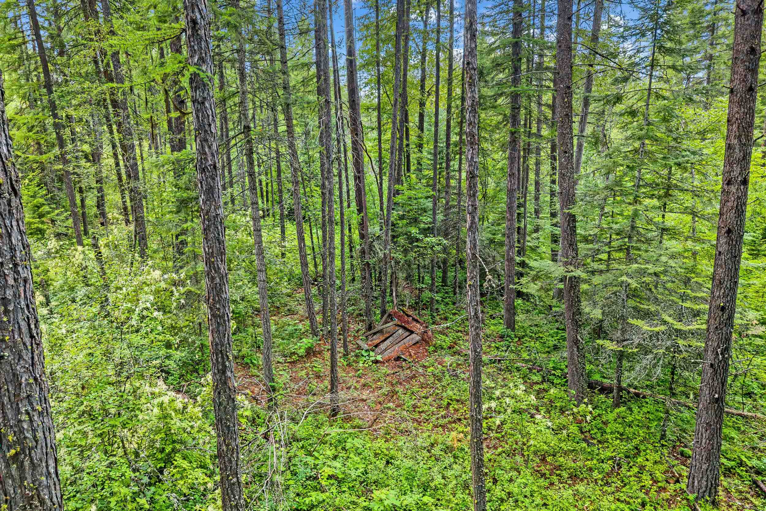 432X Bussard Lake Rd - Photo 32