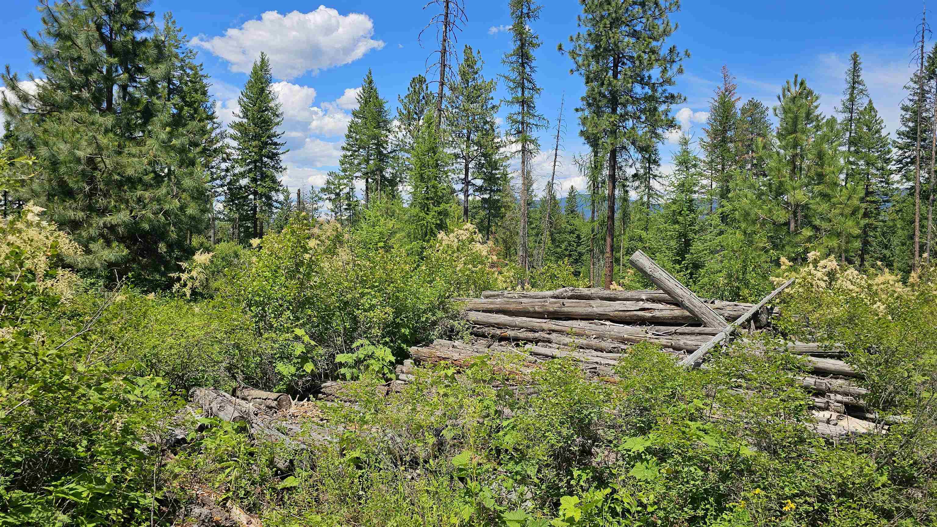 432X Bussard Lake Rd - Photo 10