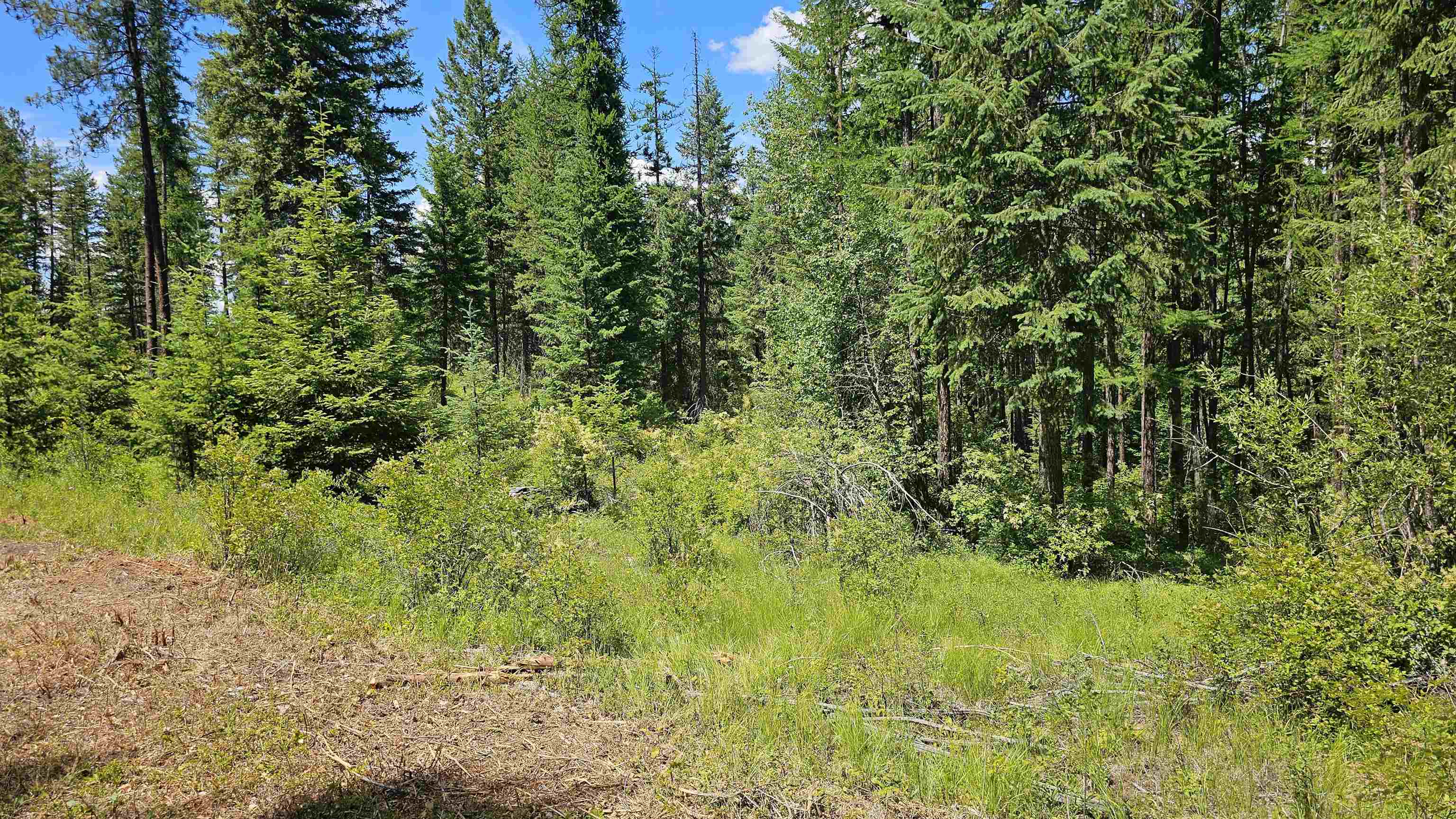 432X Bussard Lake Rd - Photo 14