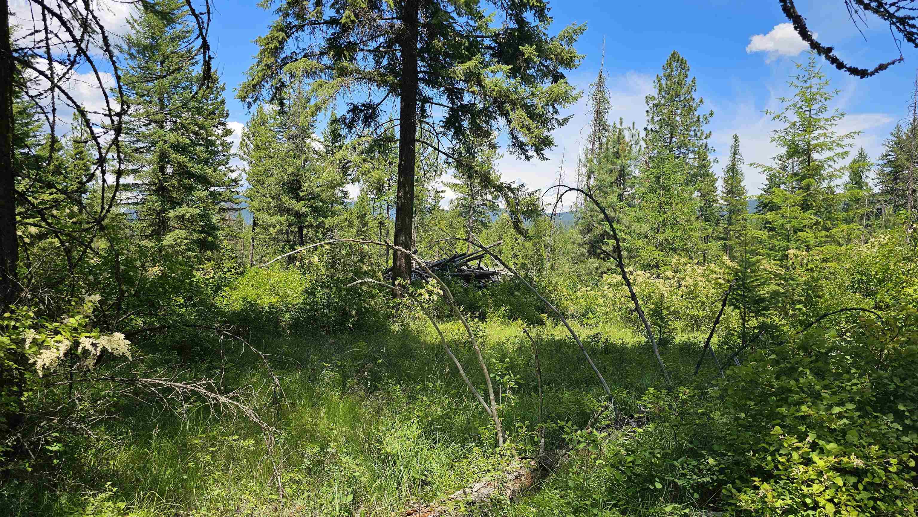 432X Bussard Lake Rd - Photo 16