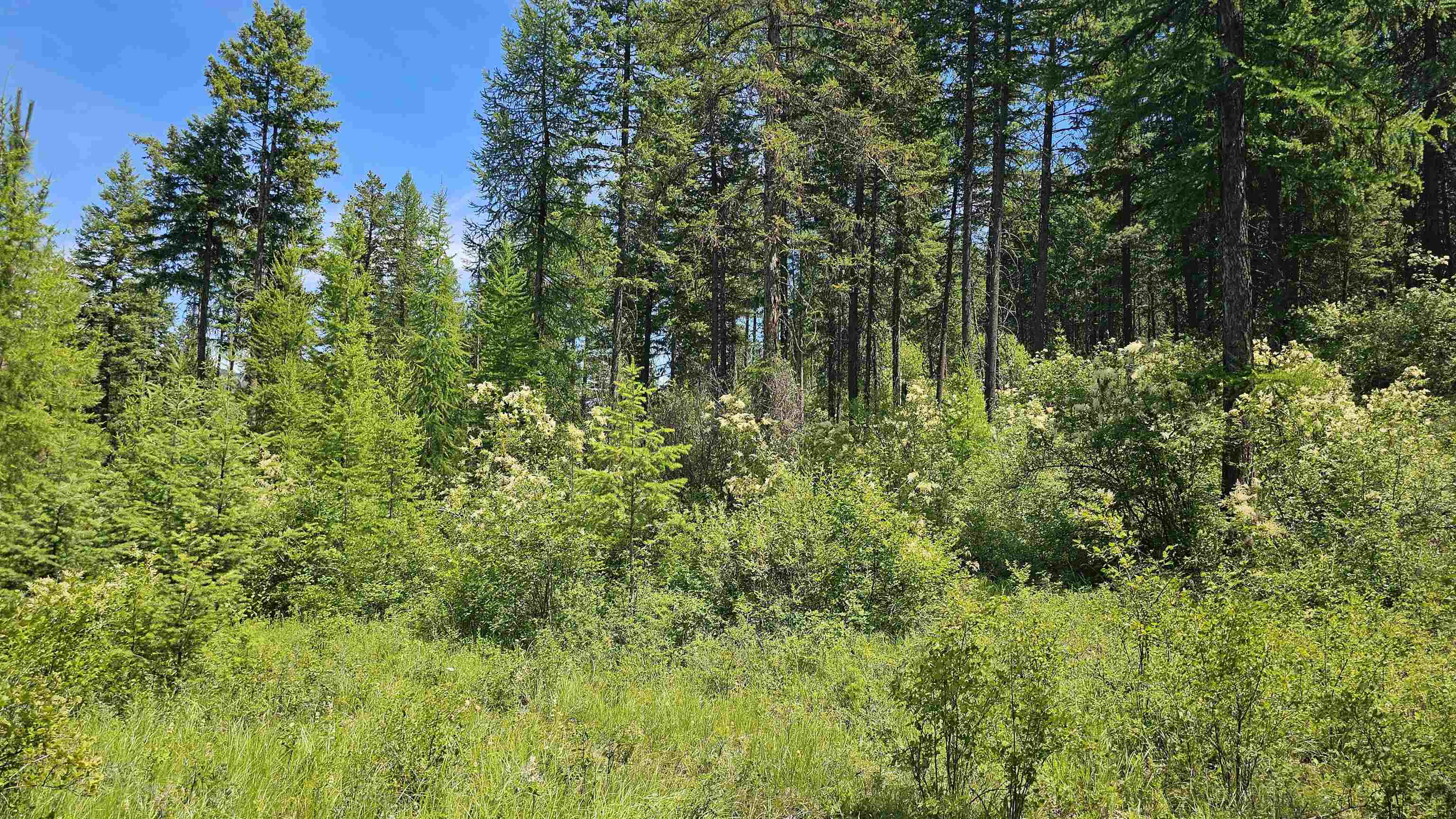 432X Bussard Lake Rd - Photo 17
