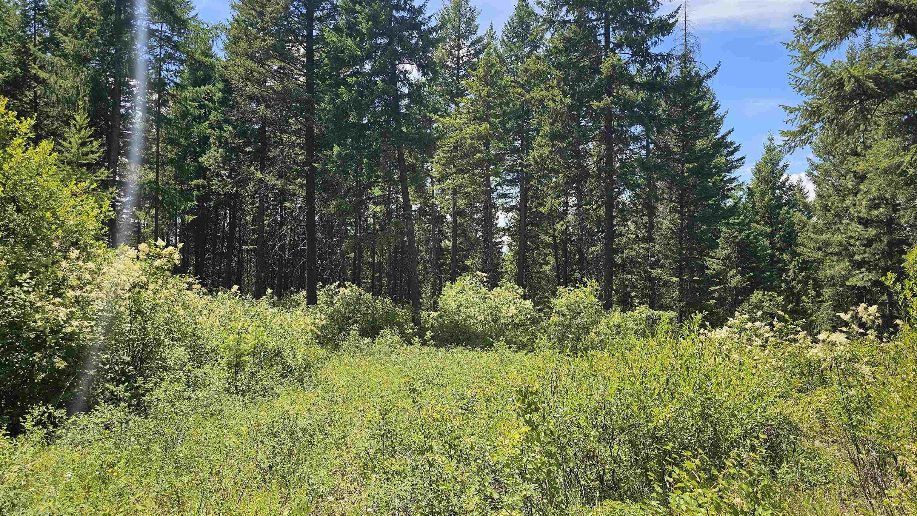 432X Bussard Lake Rd - Photo 15