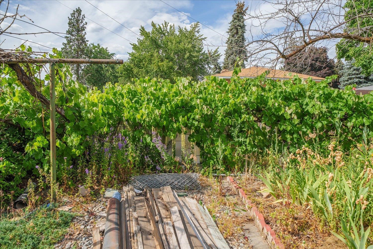 3706 N Belt St - Photo 37
