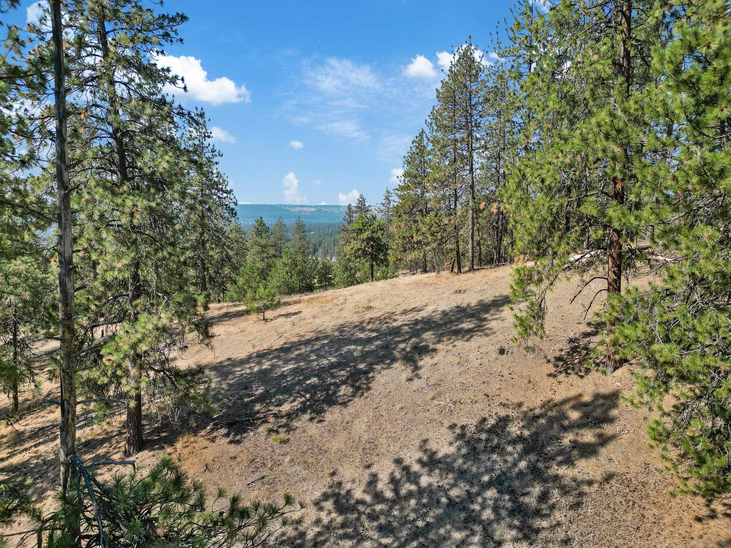 NKA Lower Weaver Way - Photo 8