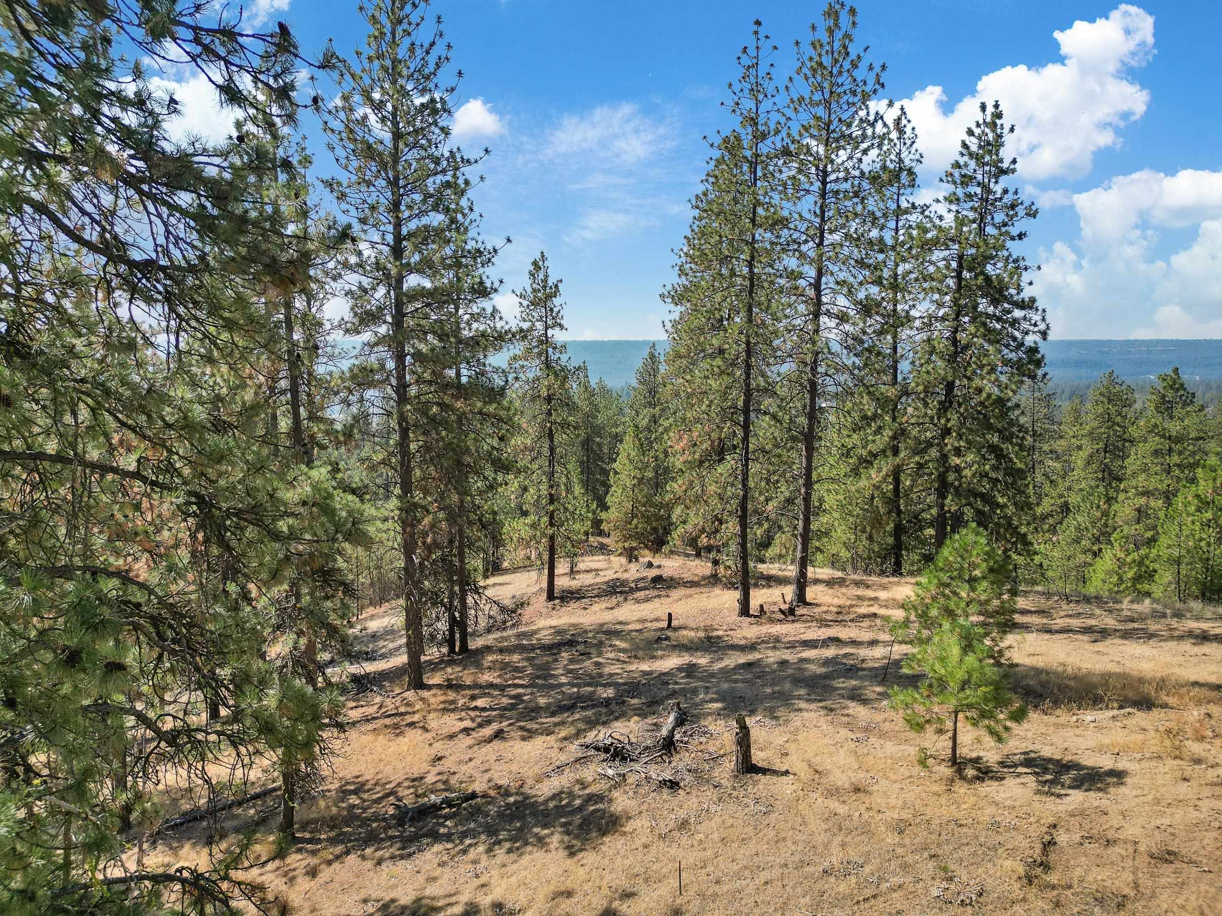 NKA Lower Weaver Way - Photo 9
