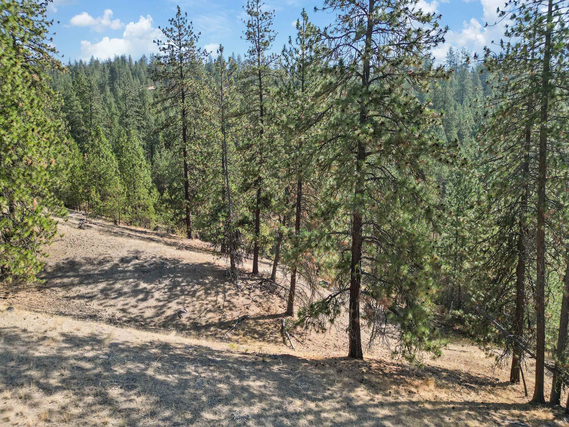 NKA Lower Weaver Way - Photo 11