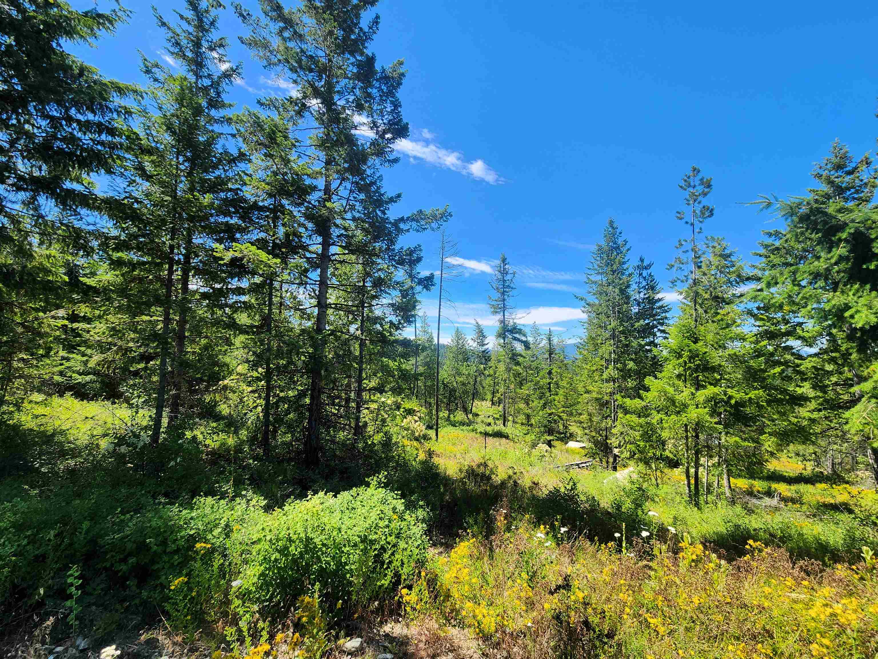 1492 Portrait Way - Photo 4