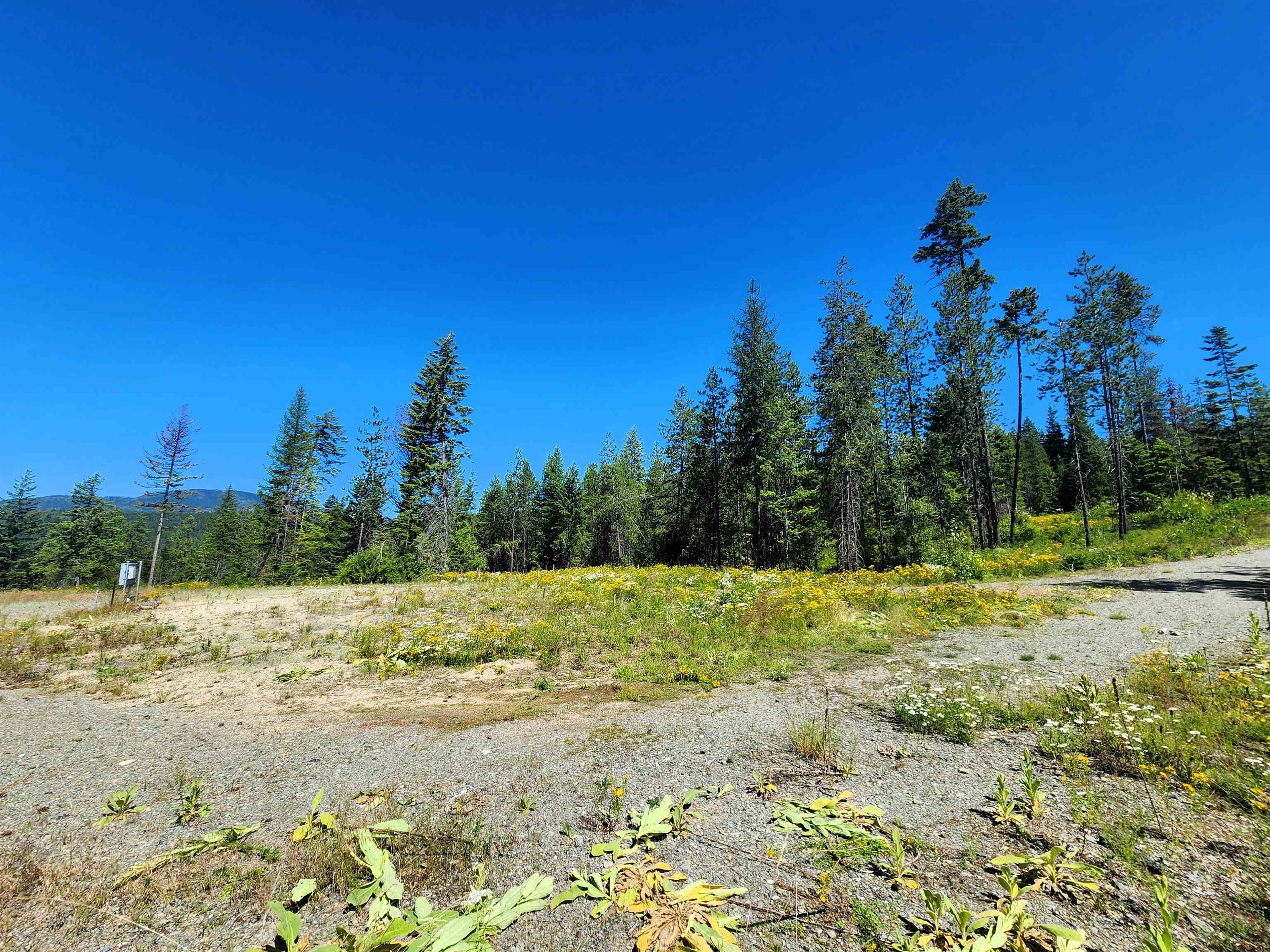 1492 Portrait Way - Photo 7
