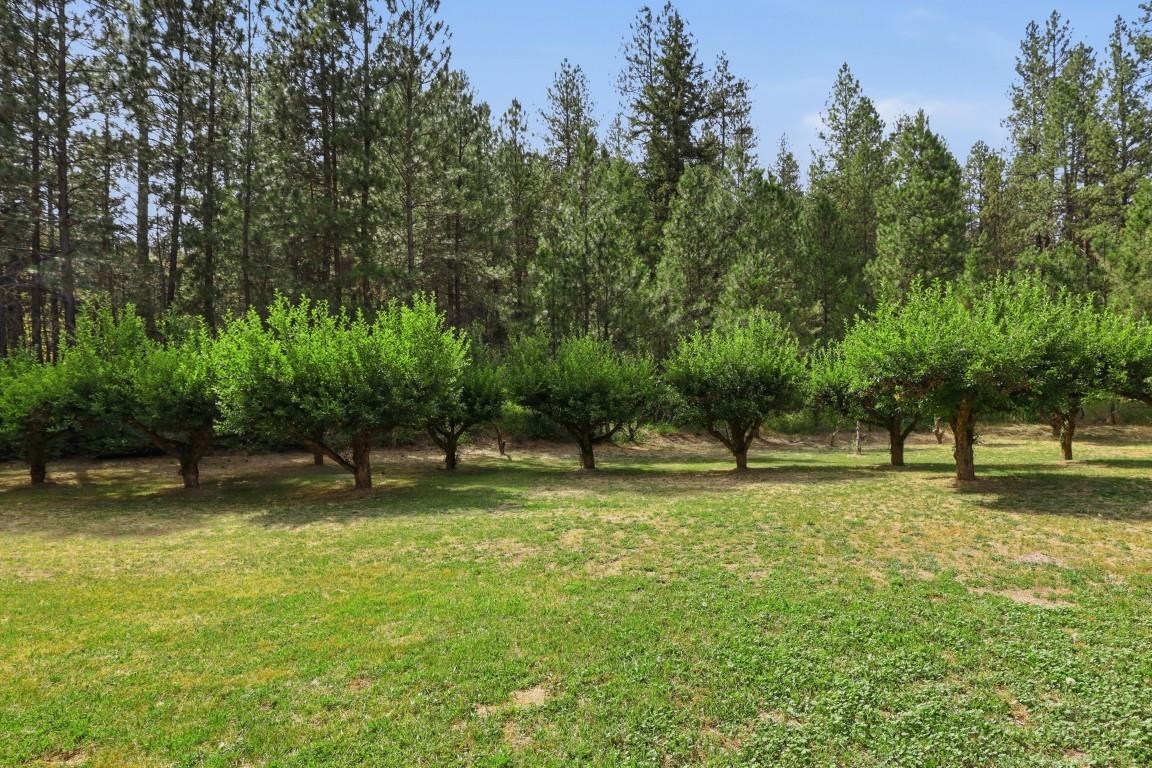 14424 S Cheney-Spokane Rd - Photo 36