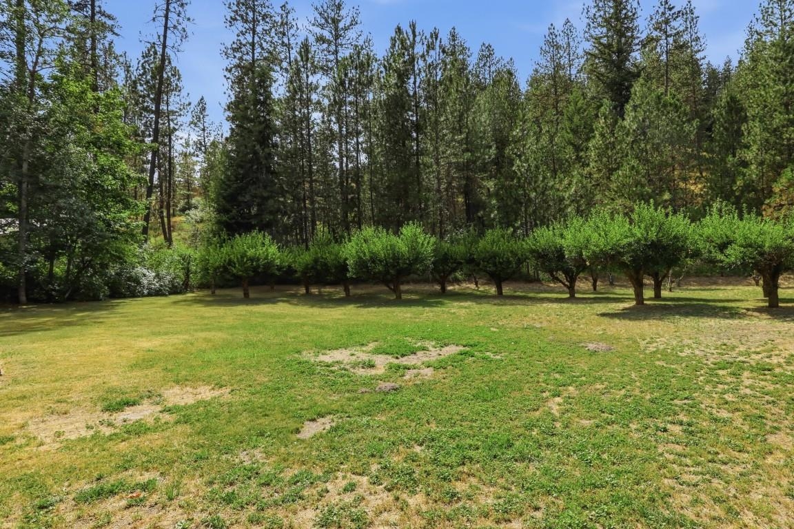 14424 S Cheney-Spokane Rd - Photo 37