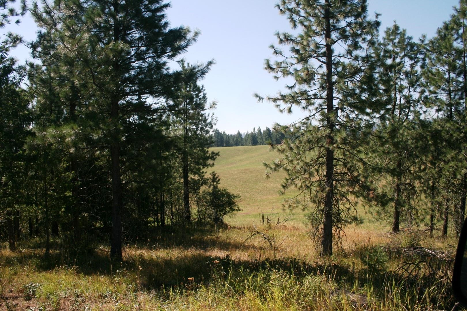 5203 Olinger Rd - Photo 4