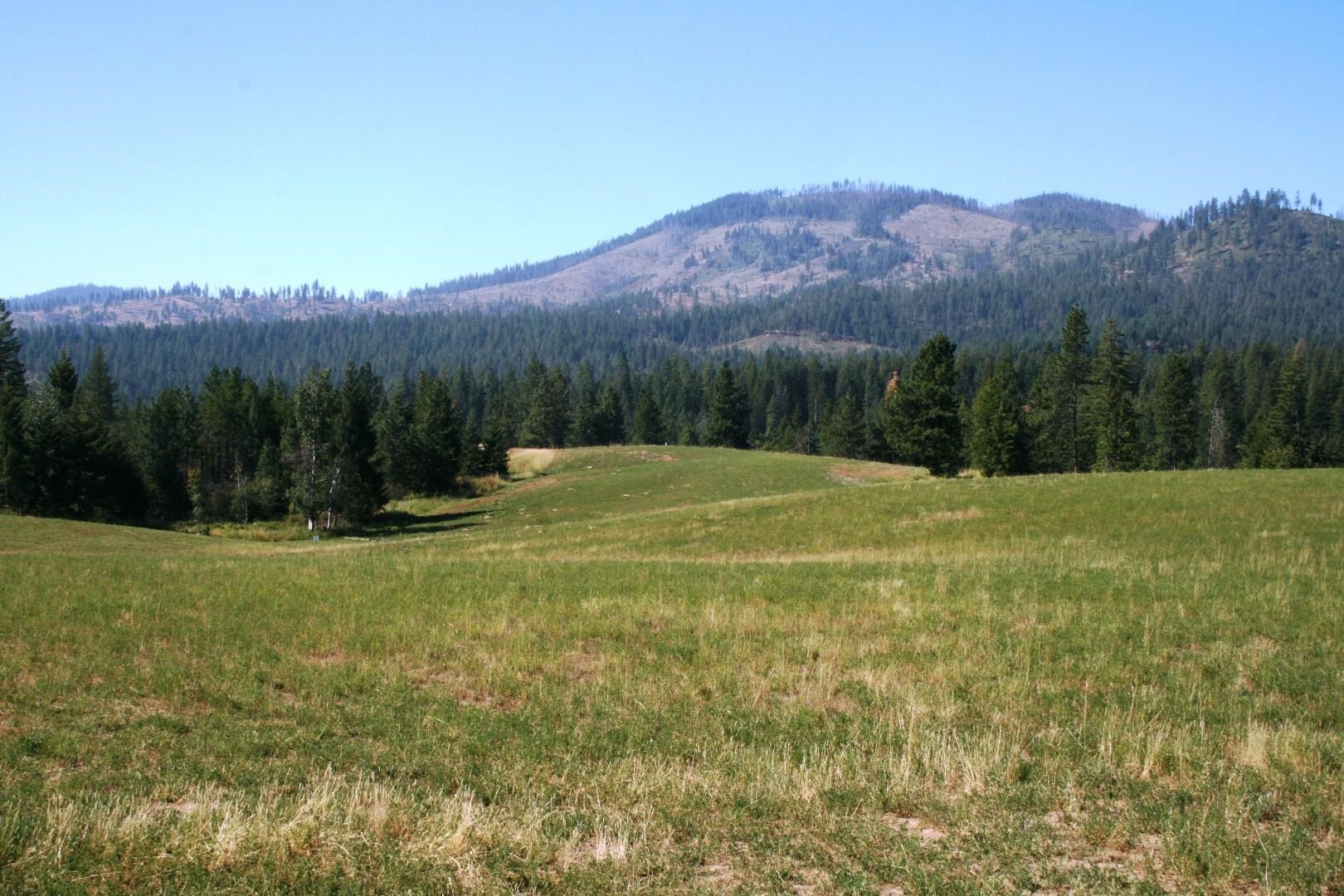 5203 Olinger Rd - Photo 9