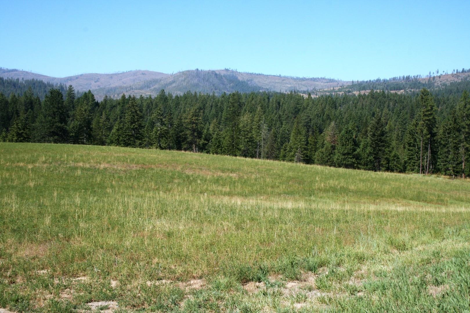5203 Olinger Rd - Photo 10