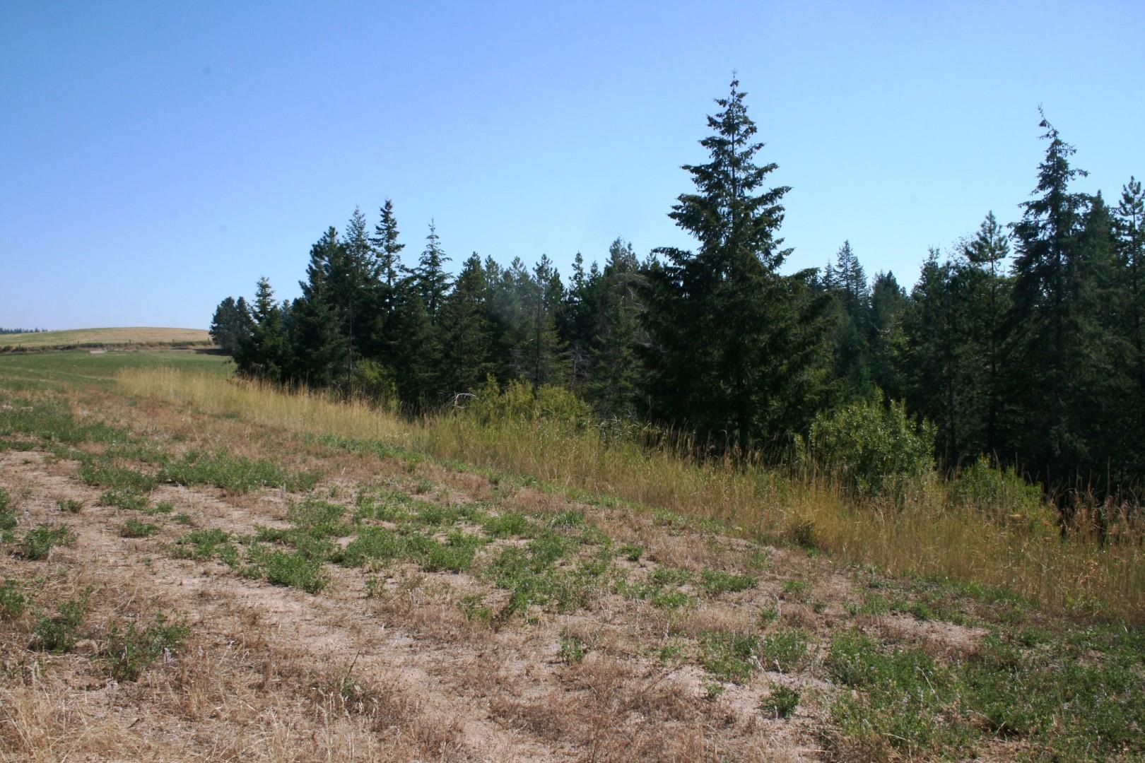 5203 Olinger Rd - Photo 14