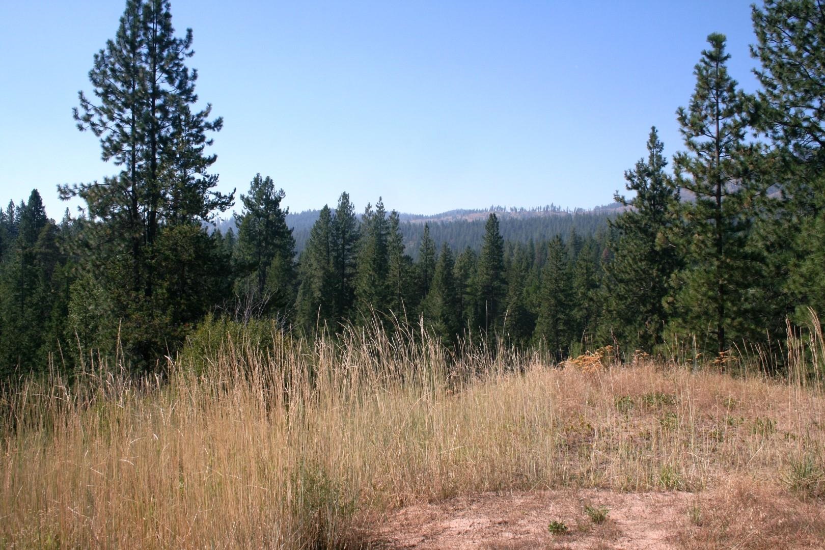 5203 Olinger Rd - Photo 16