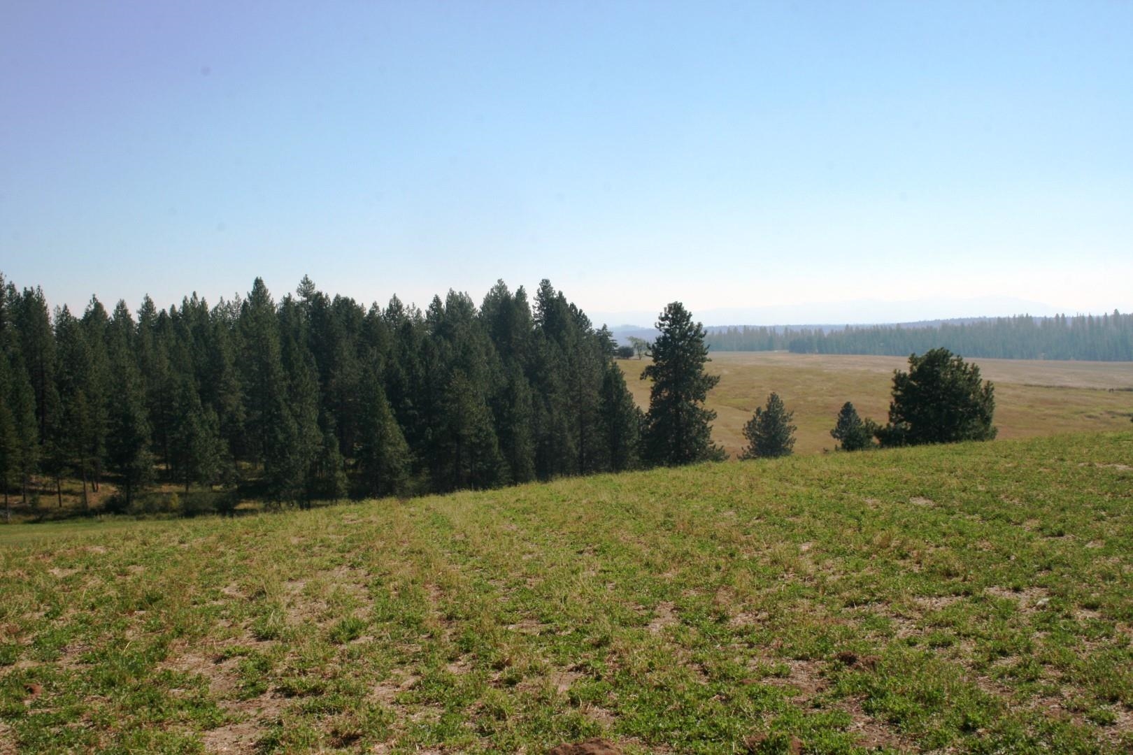 5203 Olinger Rd - Photo 20