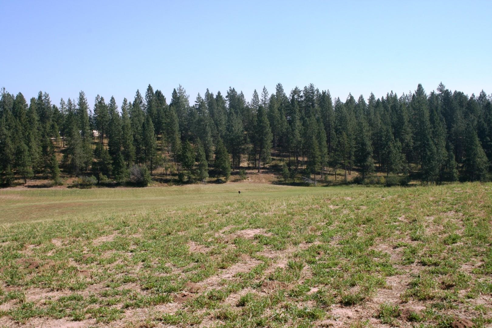 5203 Olinger Rd - Photo 21