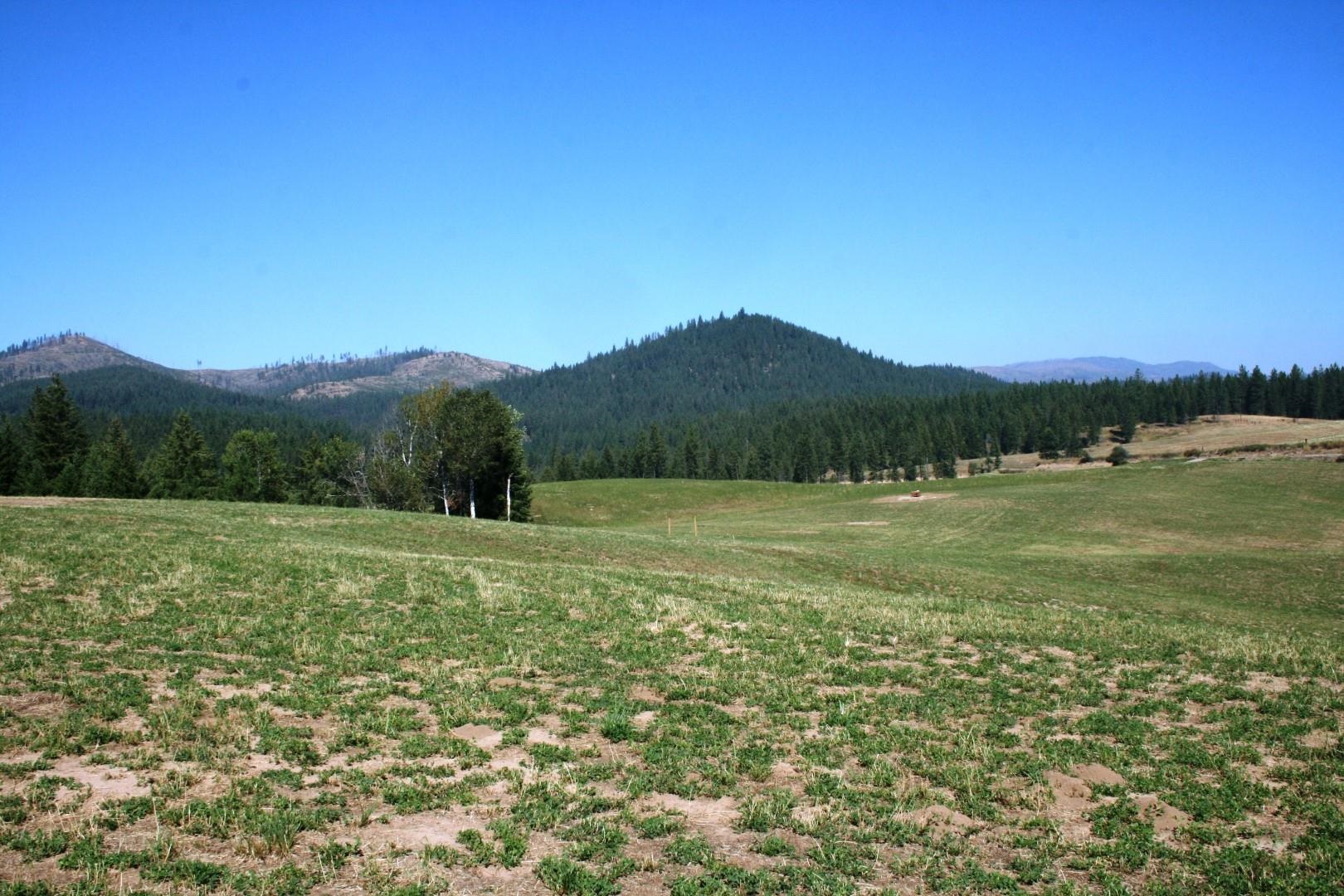 5203 Olinger Rd - Photo 22