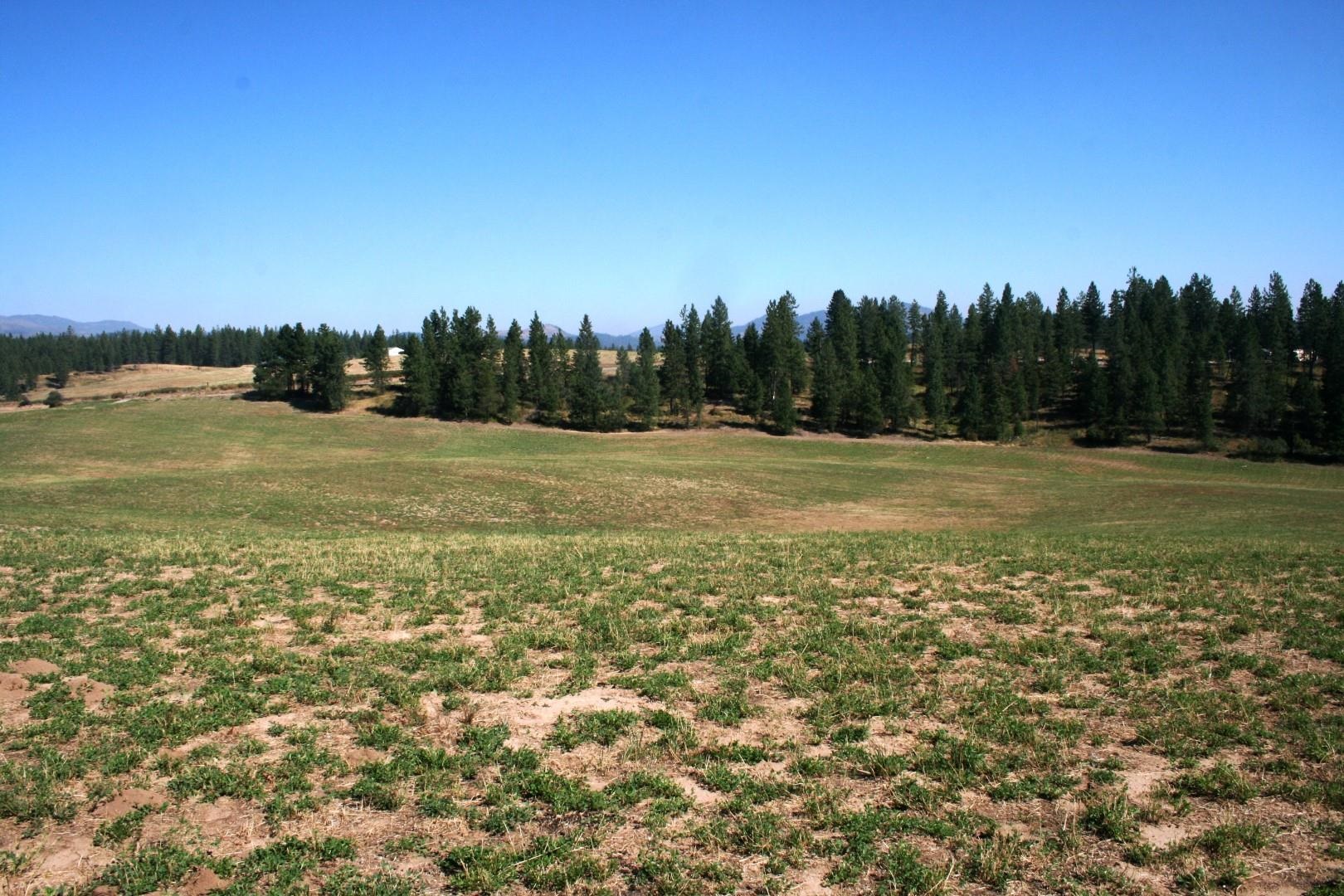 5203 Olinger Rd - Photo 23