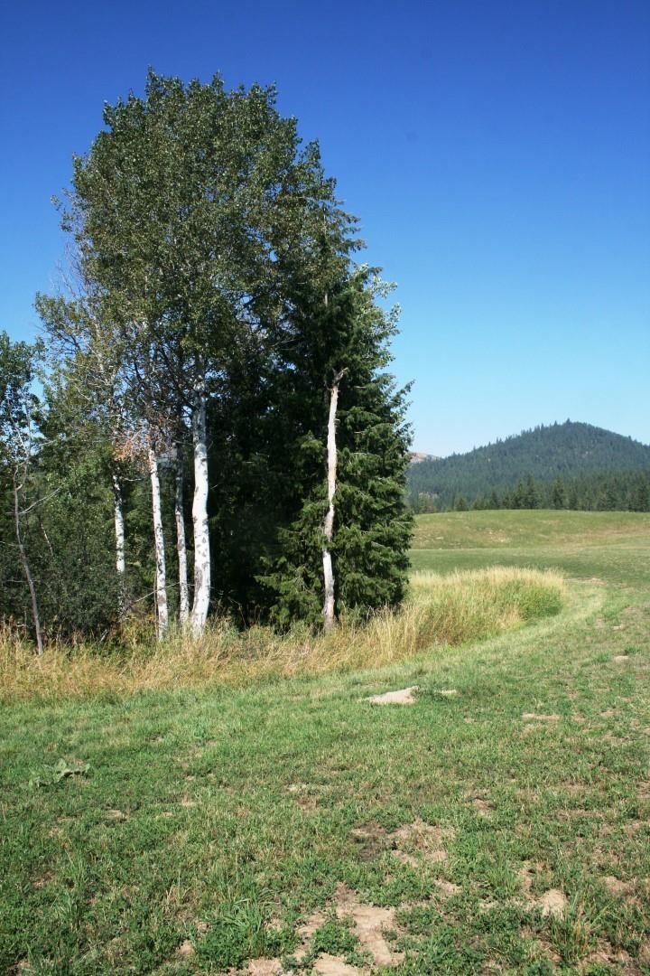 5203 Olinger Rd - Photo 24