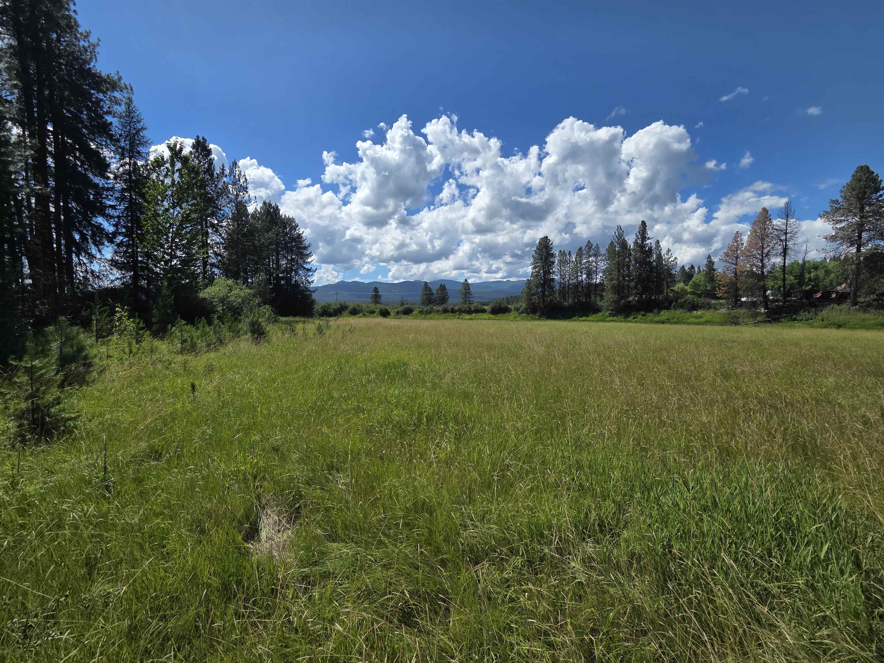 NKA Highway 20 Hwy - Photo 6