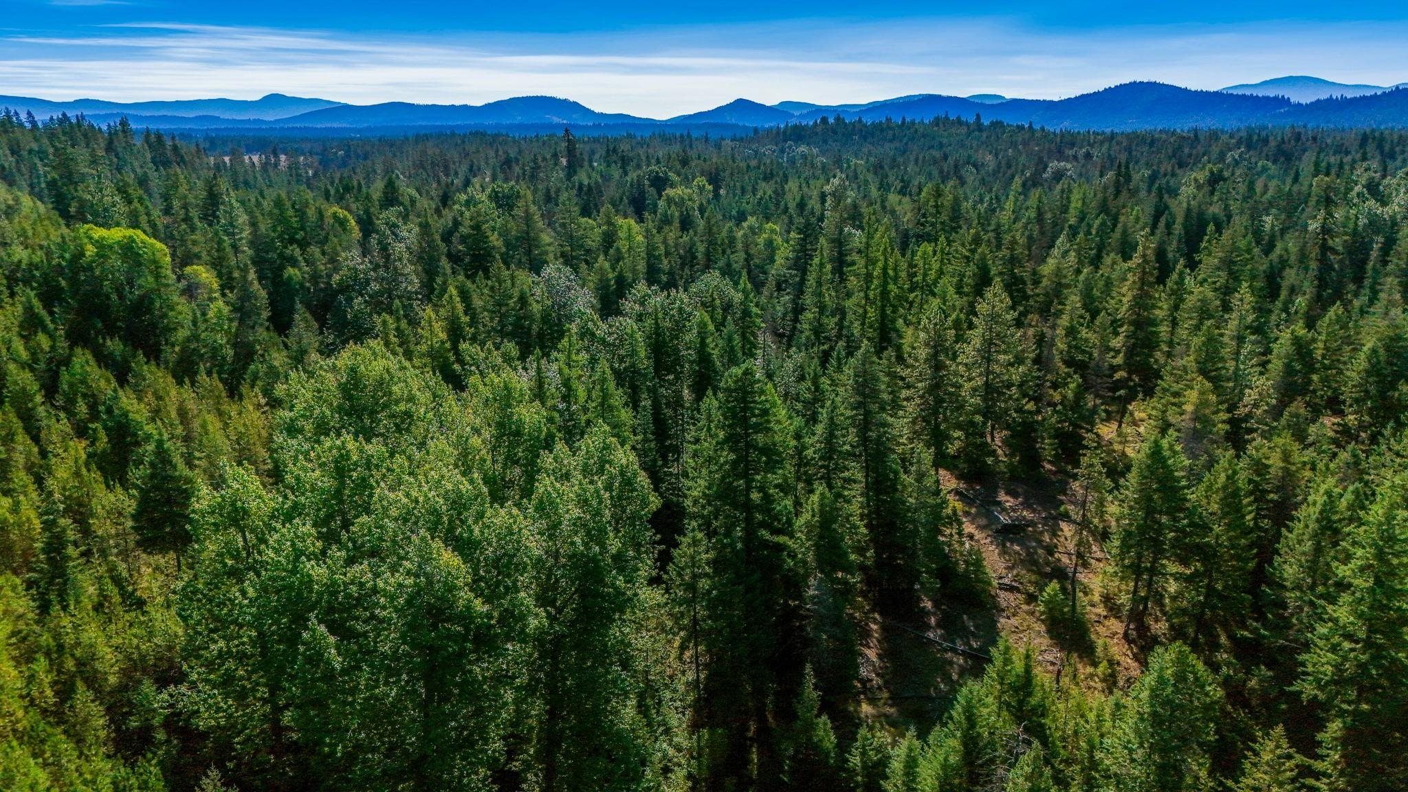 1770 Highway 211 Hwy - Photo 6