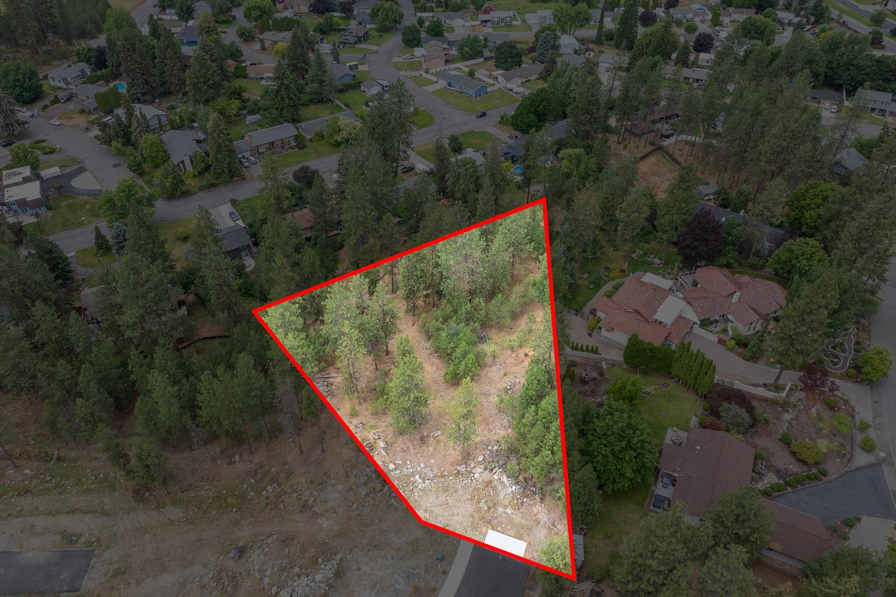 2606 S Homestead Ln - Photo 1