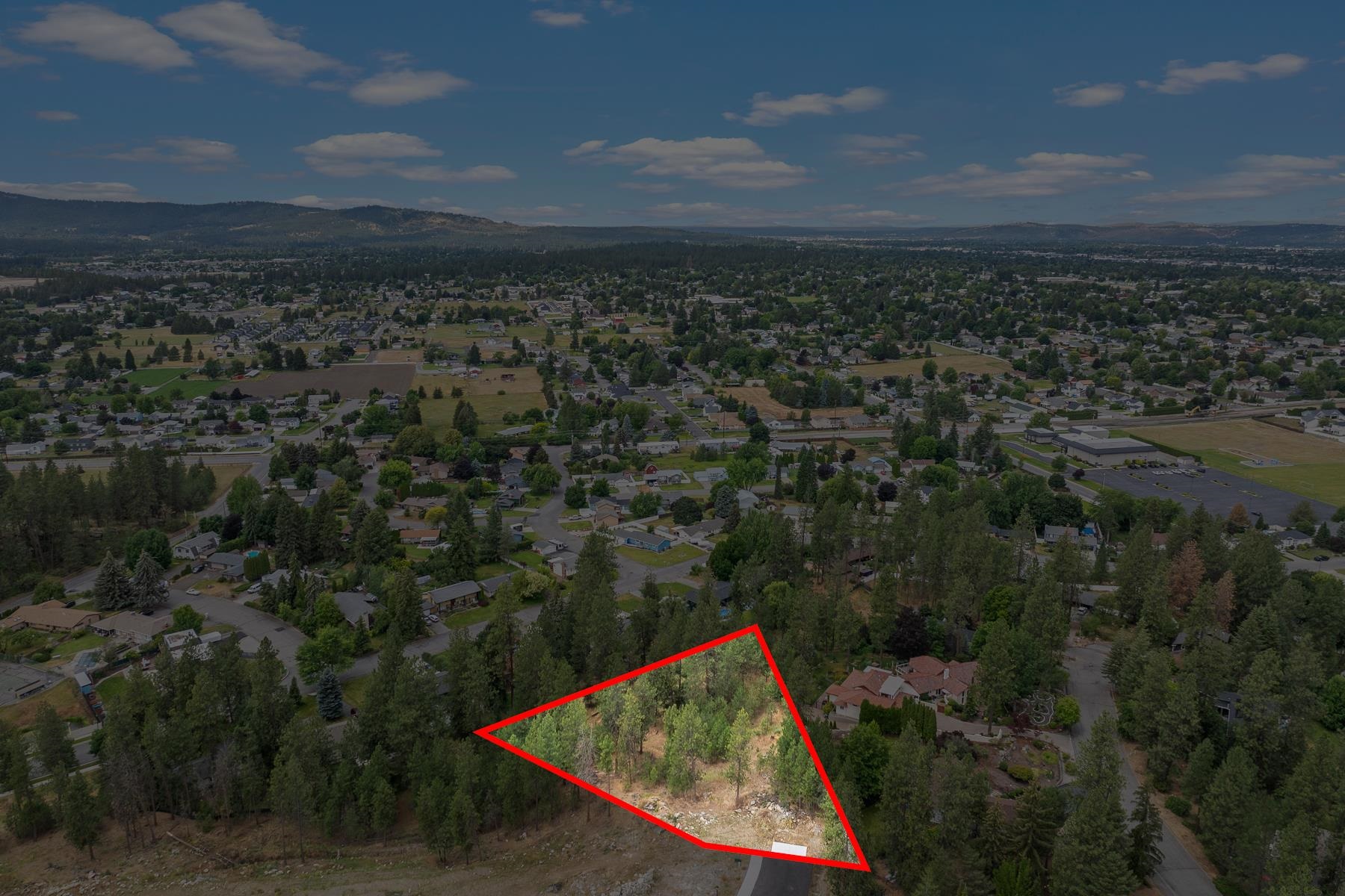 2606 S Homestead Ln - Photo 3