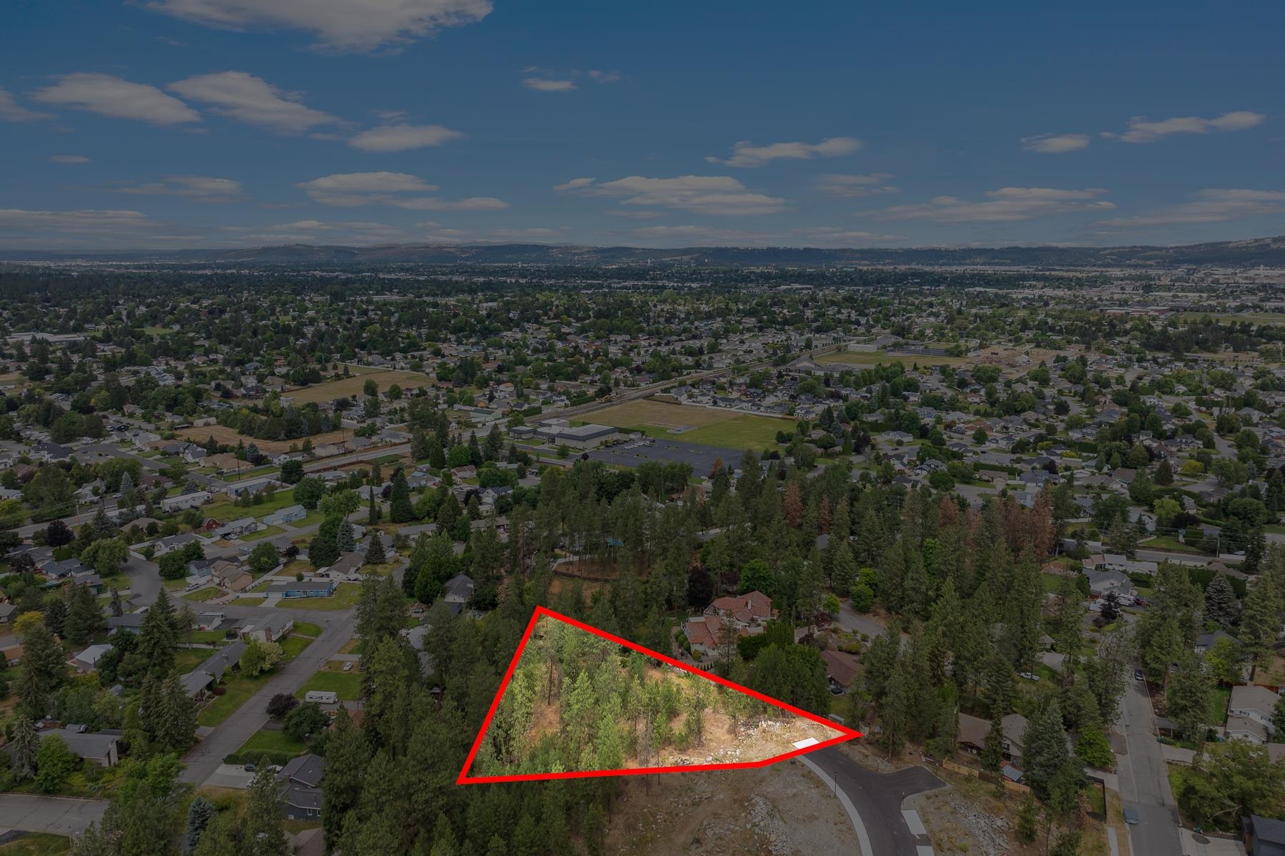 2606 S Homestead Ln - Photo 4