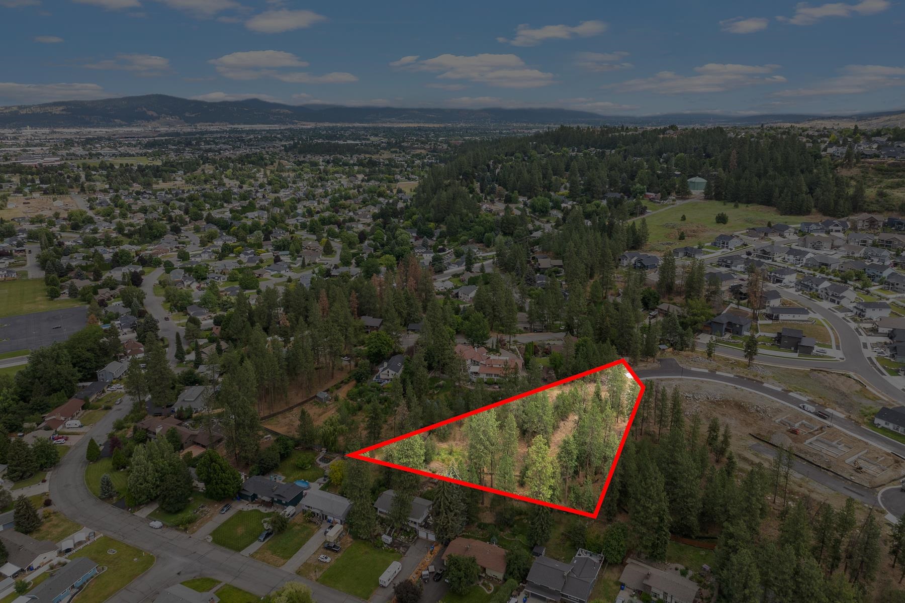2606 S Homestead Ln - Photo 5
