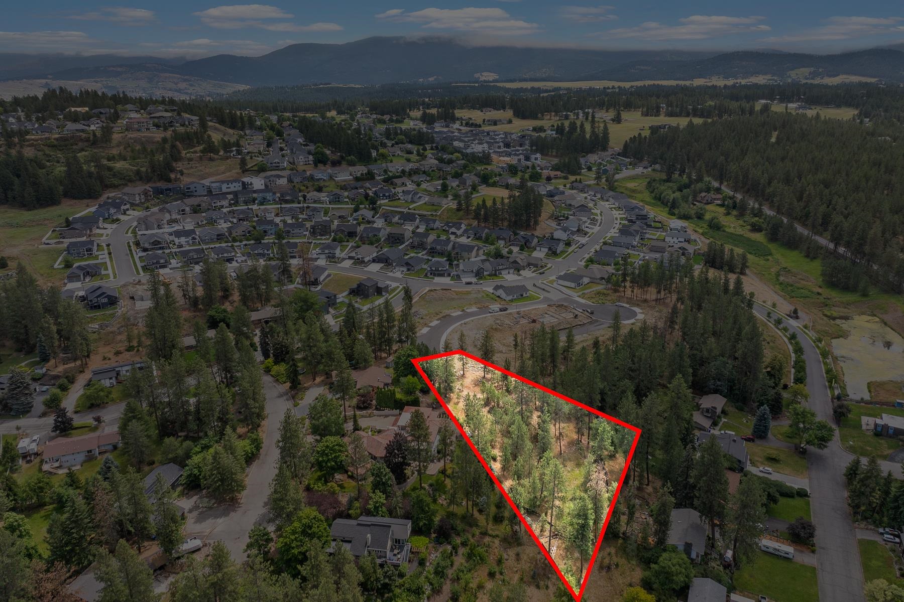 2606 S Homestead Ln - Photo 6