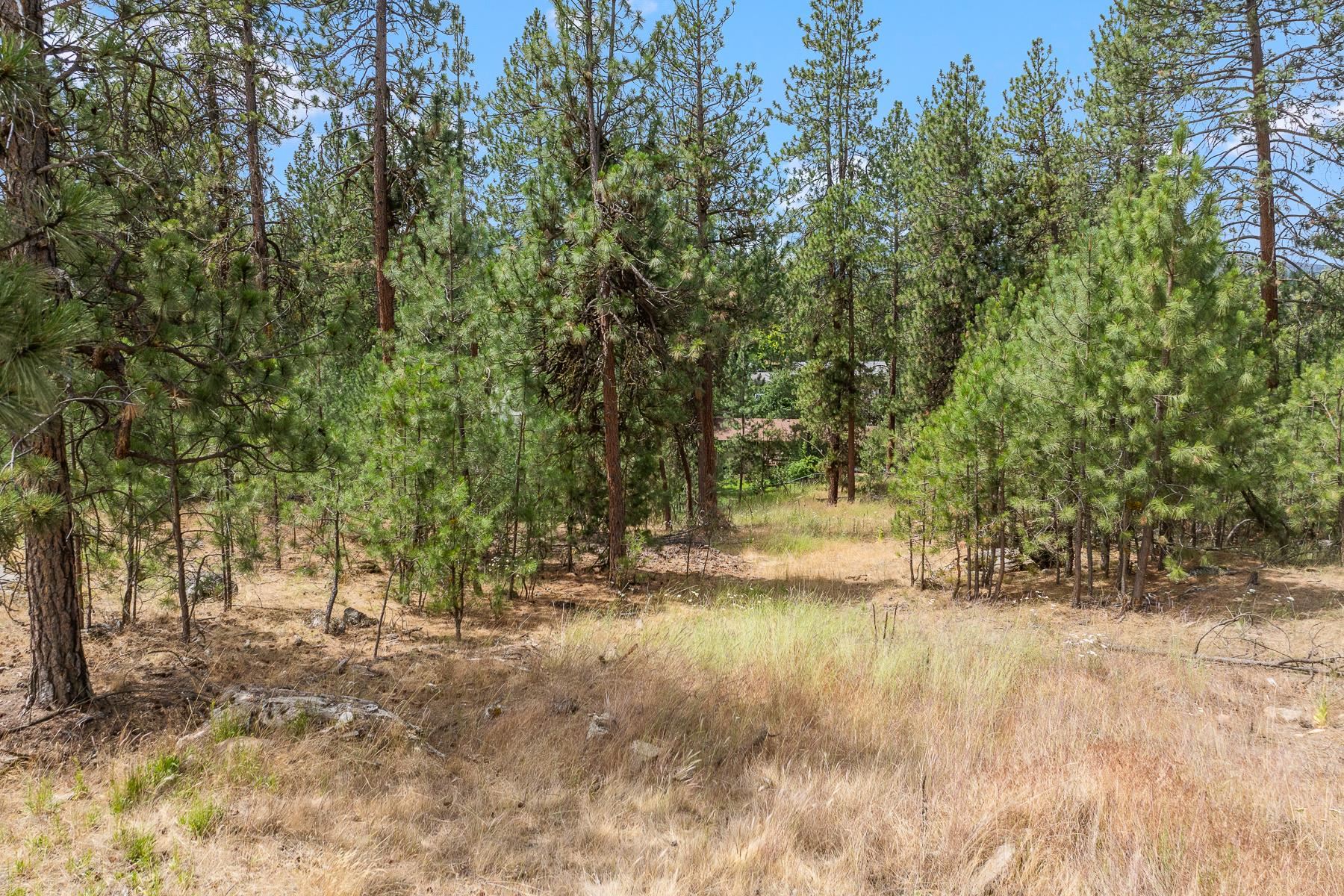 2606 S Homestead Ln - Photo 9