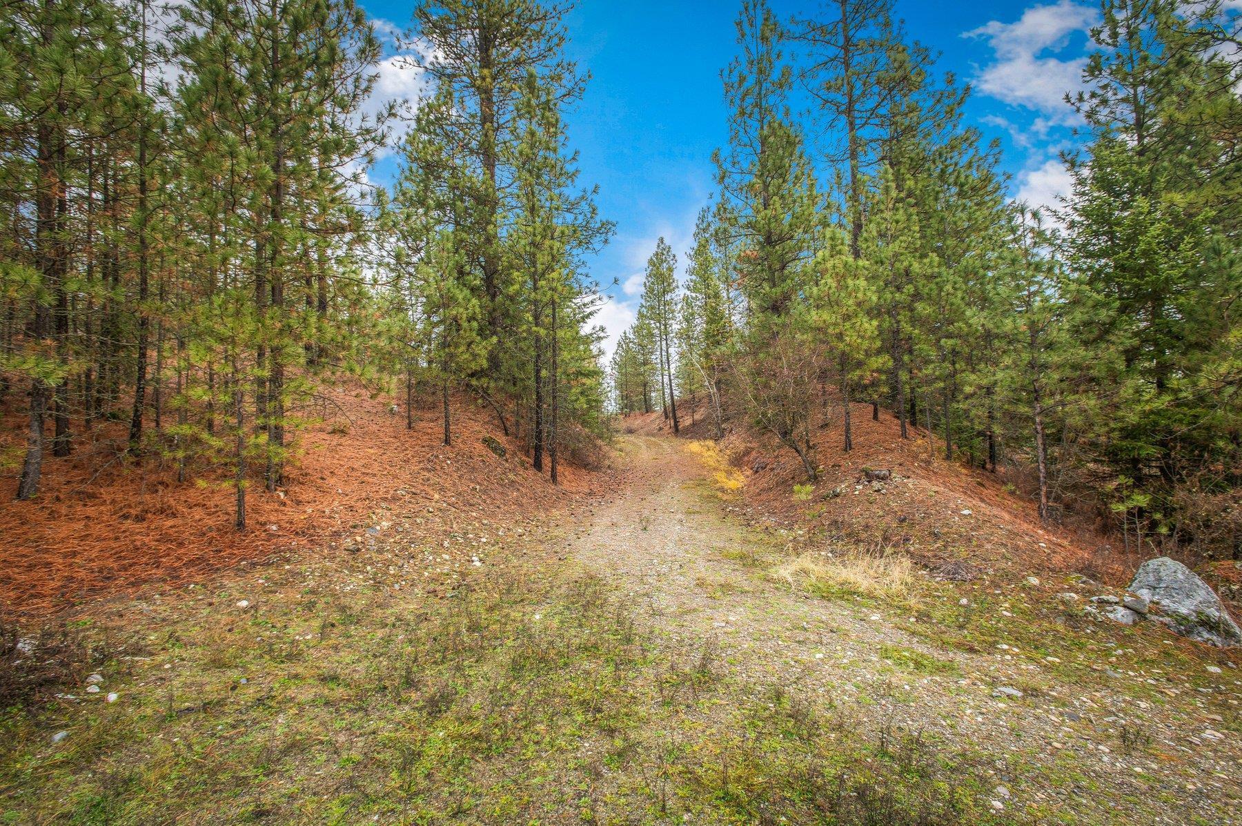 4425 Stonebrook Way - Photo 3
