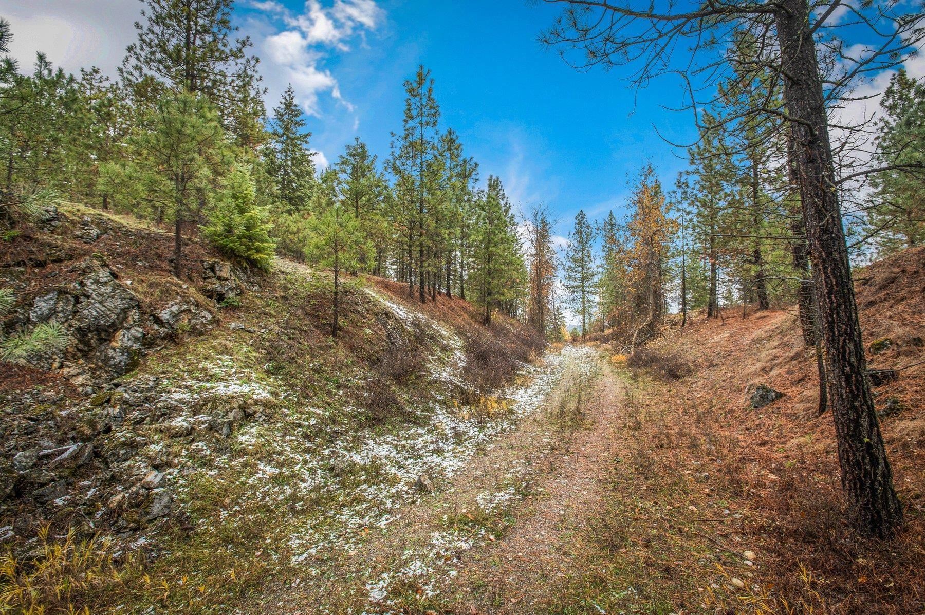 4425 Stonebrook Way - Photo 4