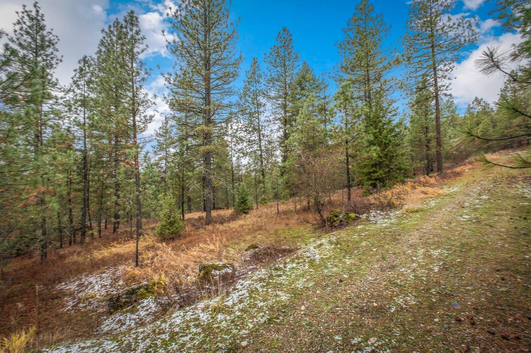 4425 Stonebrook Way - Photo 5