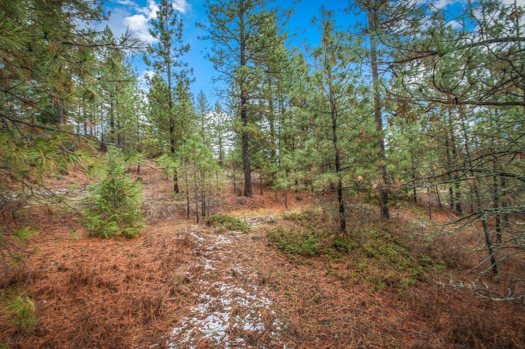 4425 Stonebrook Way - Photo 6