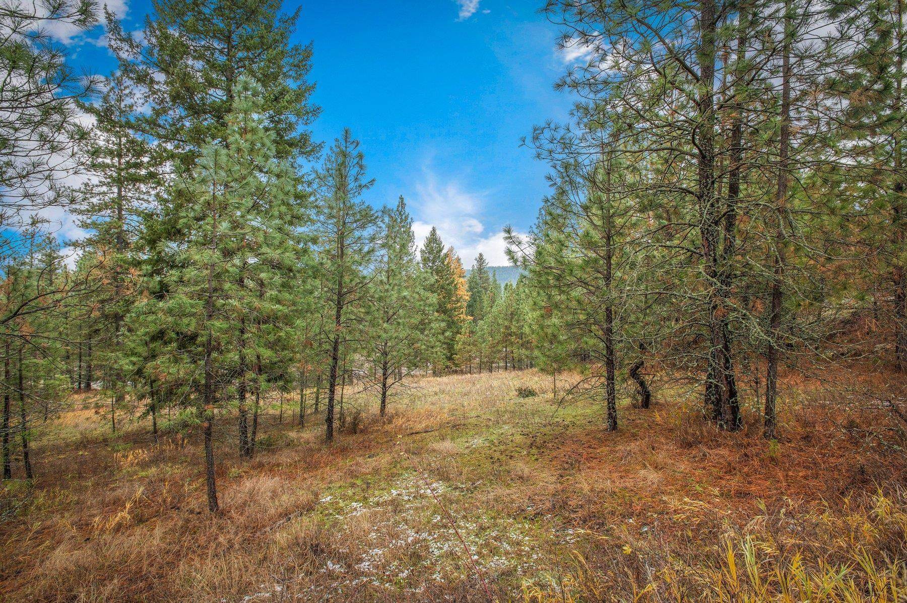 4425 Stonebrook Way - Photo 7