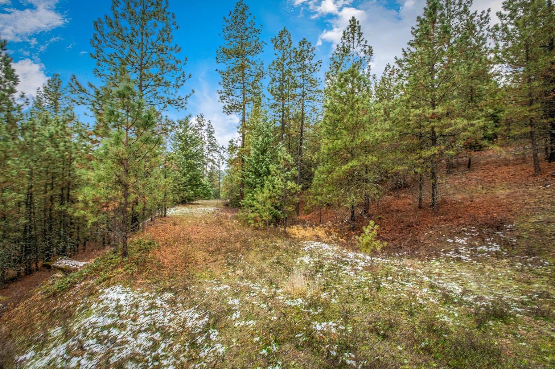 4425 Stonebrook Way - Photo 8