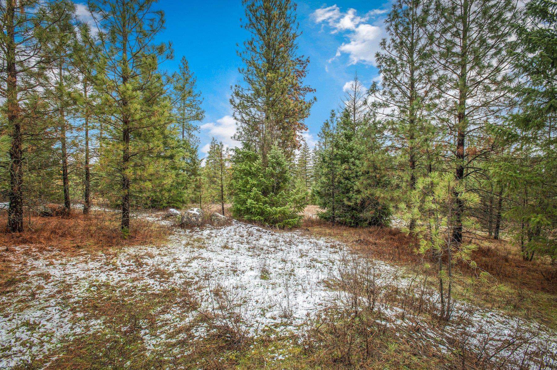 4425 Stonebrook Way - Photo 9