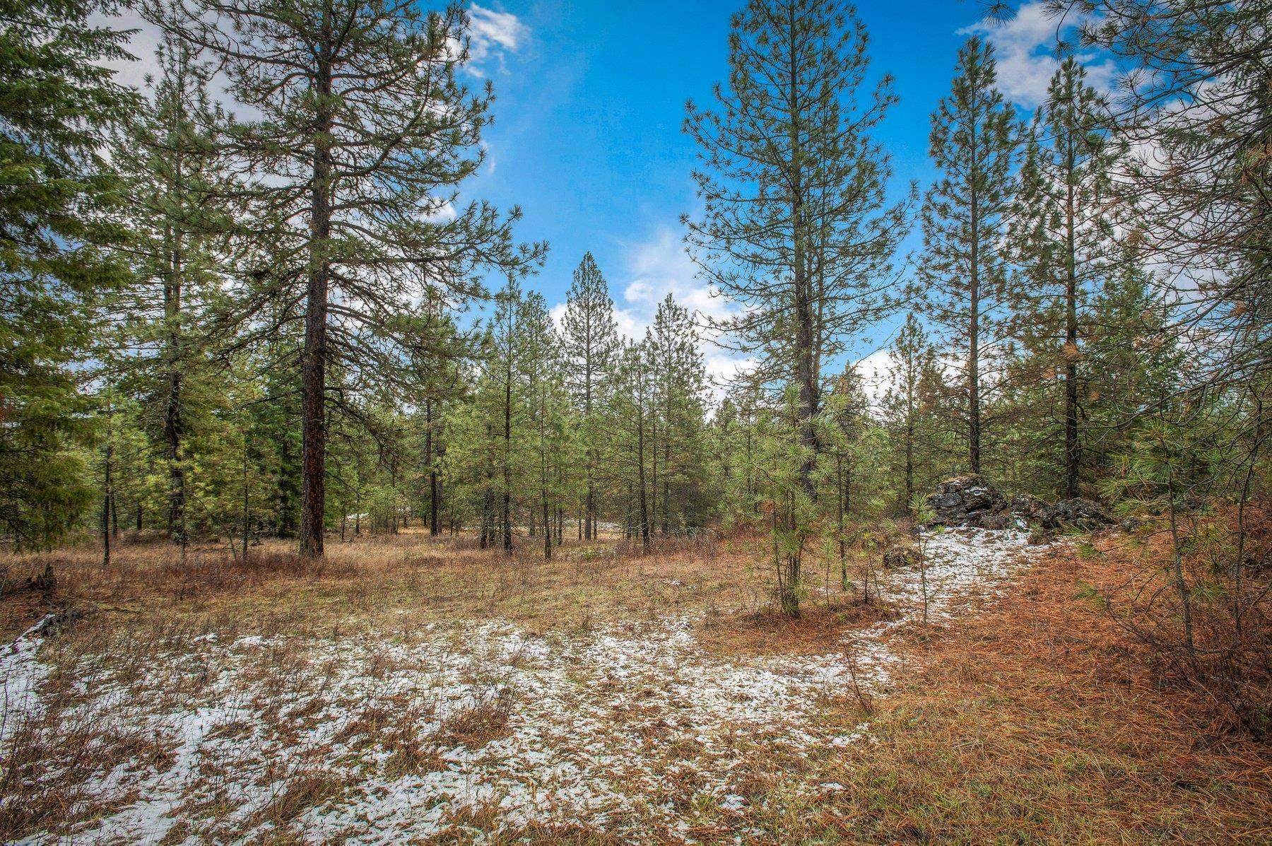 4425 Stonebrook Way - Photo 10