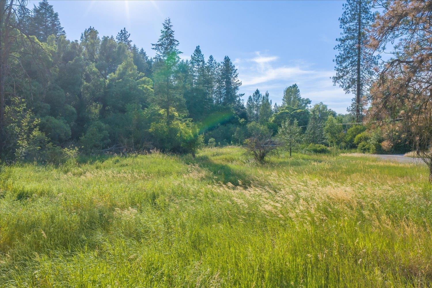 2126 E Leona Dr - Photo 7