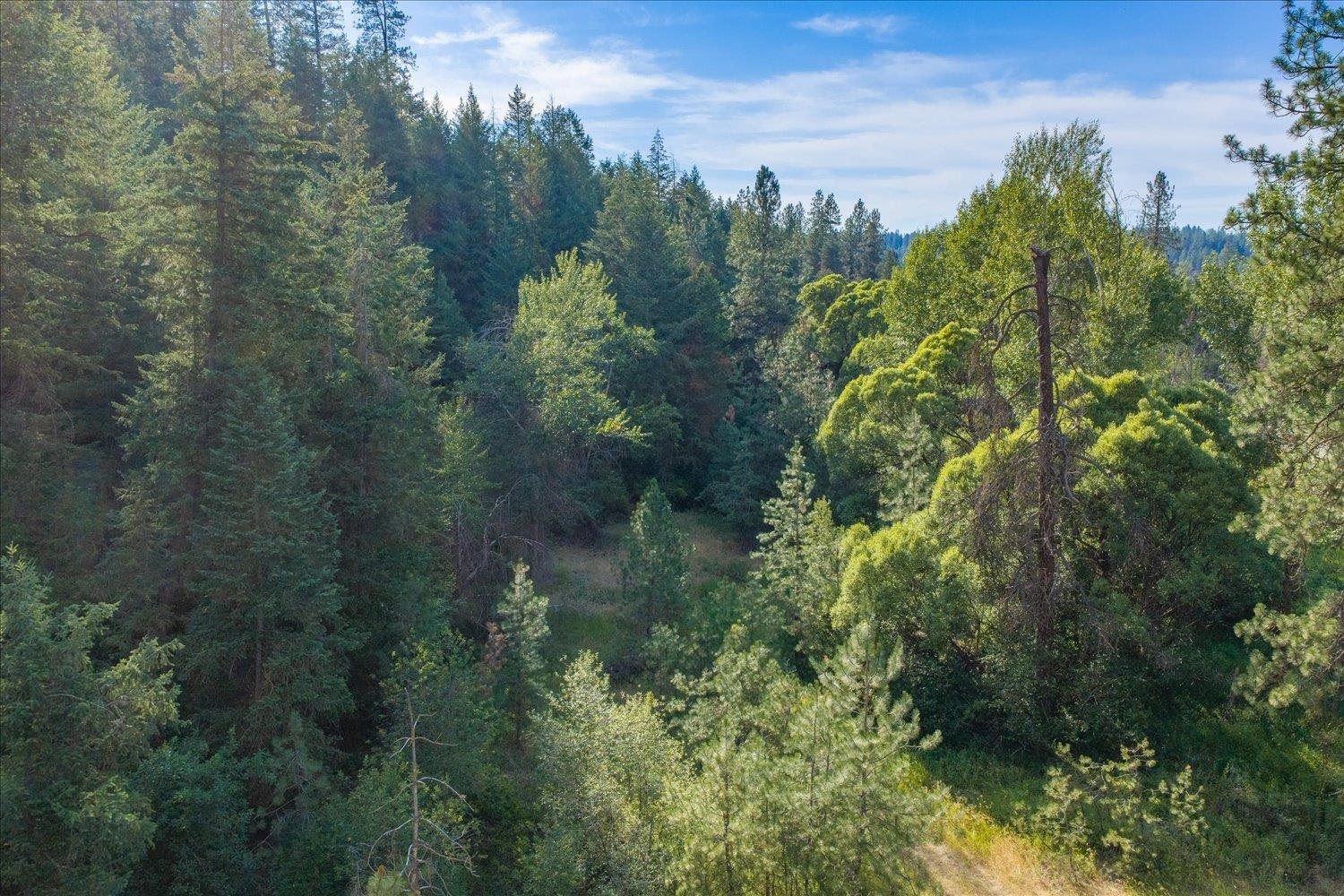 2126 E Leona Dr - Photo 17