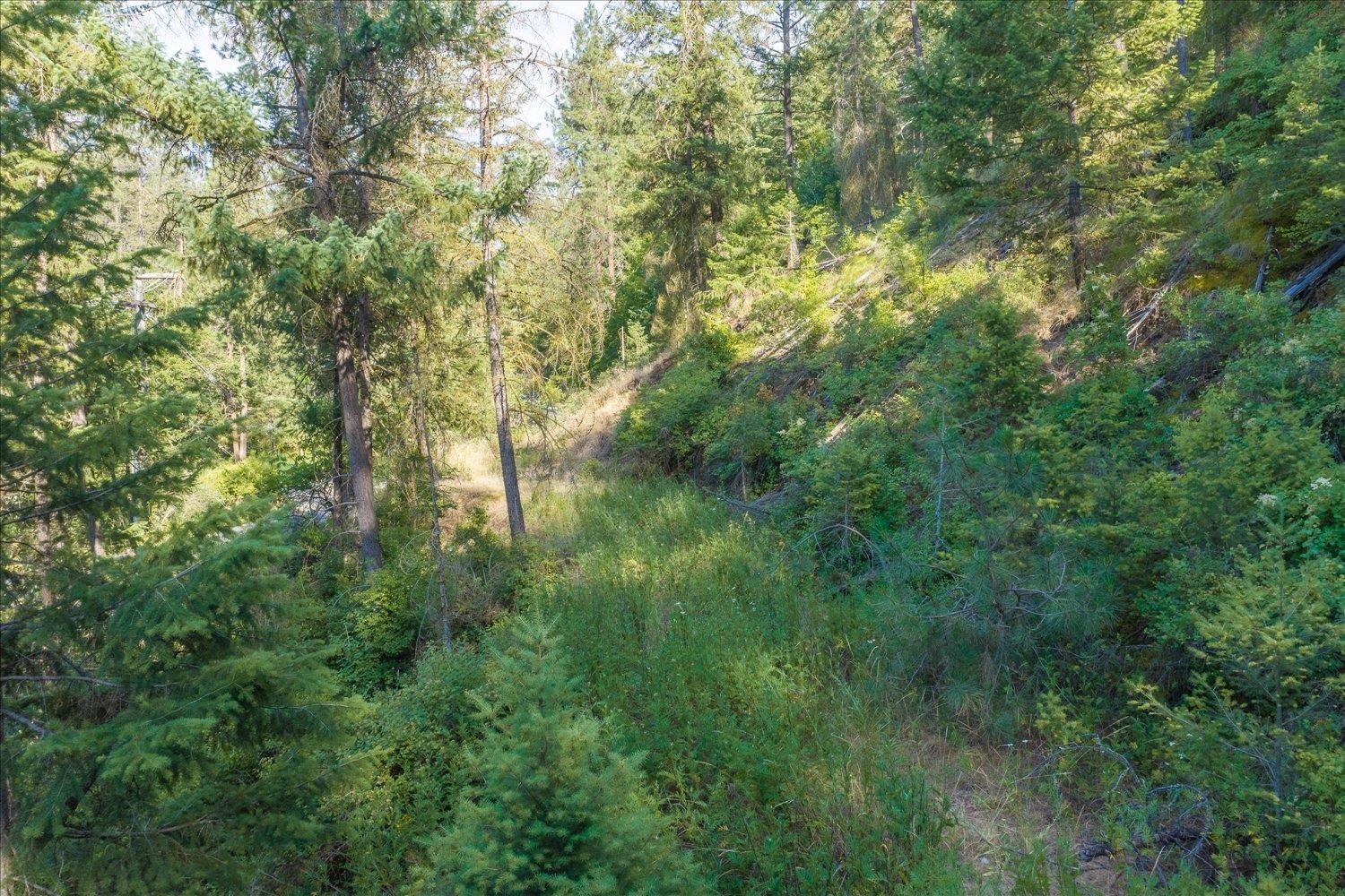 2126 E Leona Dr - Photo 18