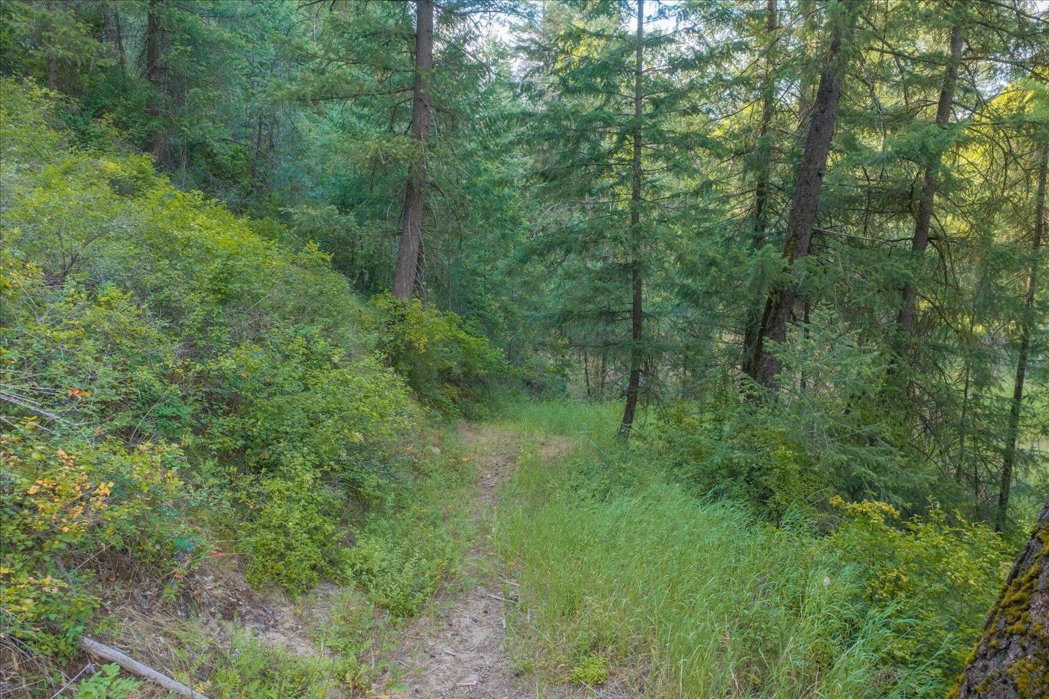 2126 E Leona Dr - Photo 19