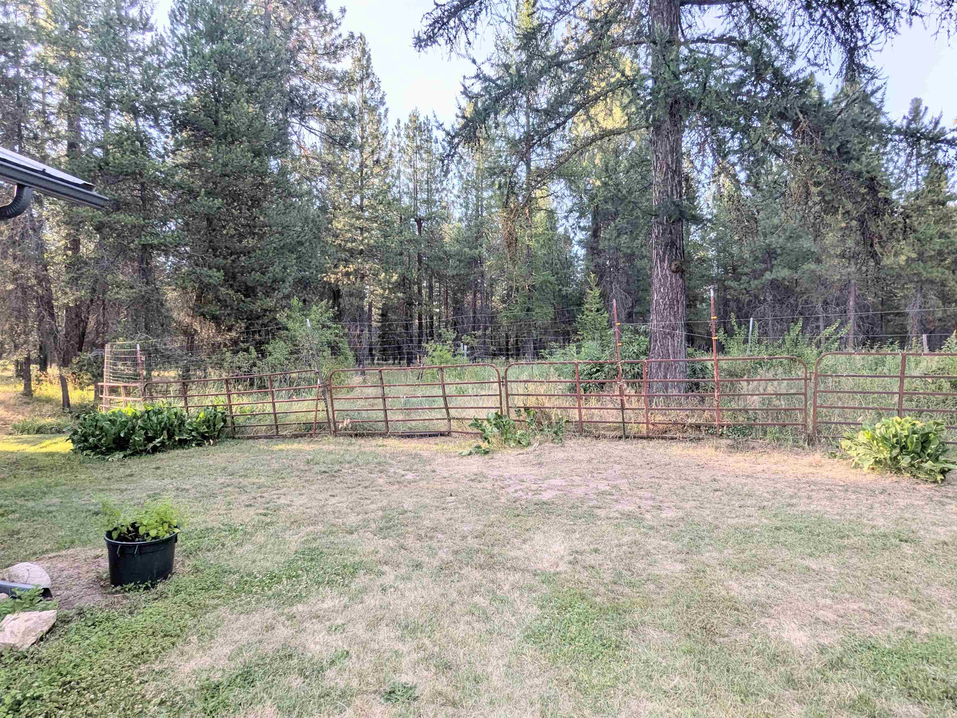 31717 N Lidgerwood Ln - Photo 28